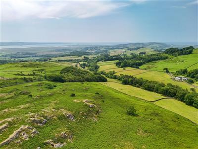 Click to view more details